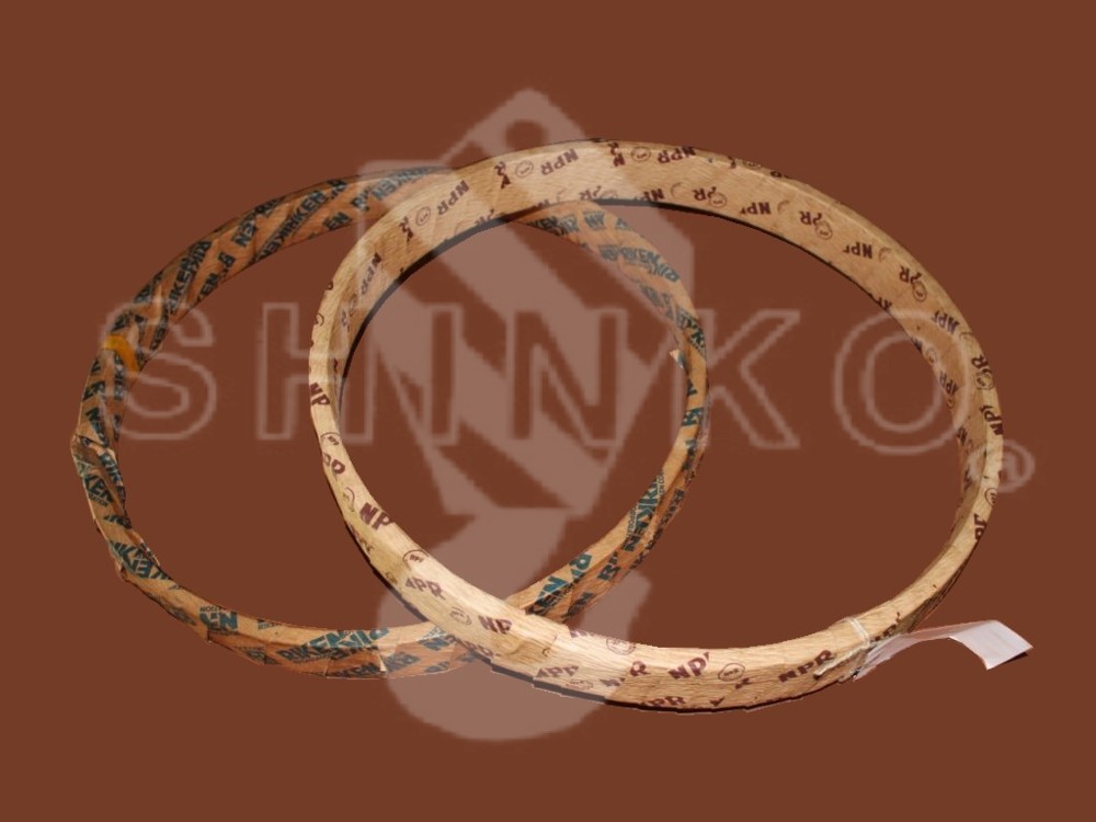 Piston Ring