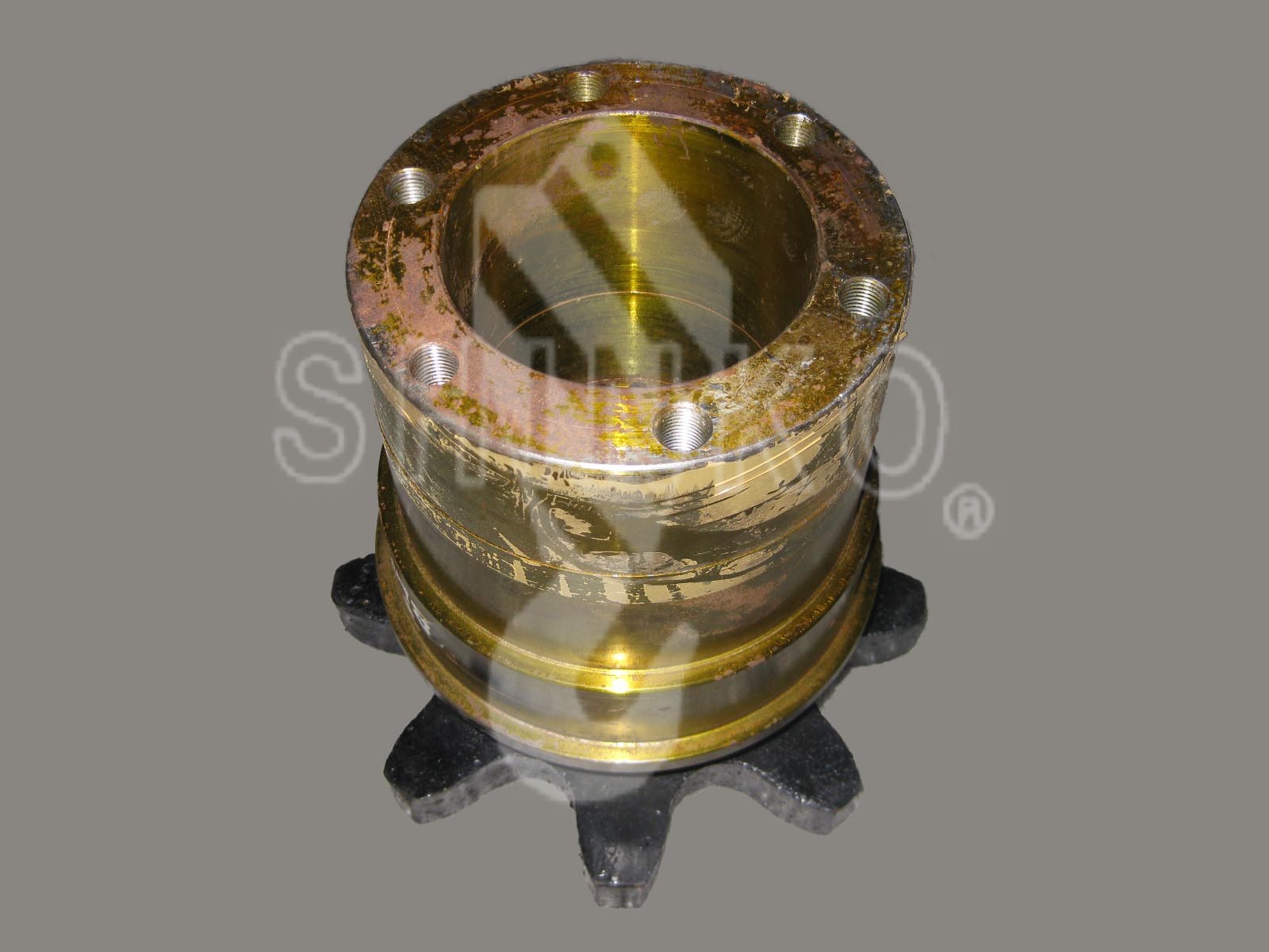 BLA1009